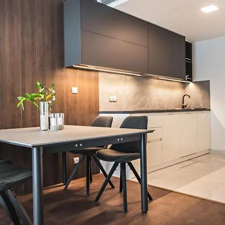 Parking Free Onsite, Air Conditioning, Wenceslas Square شقة